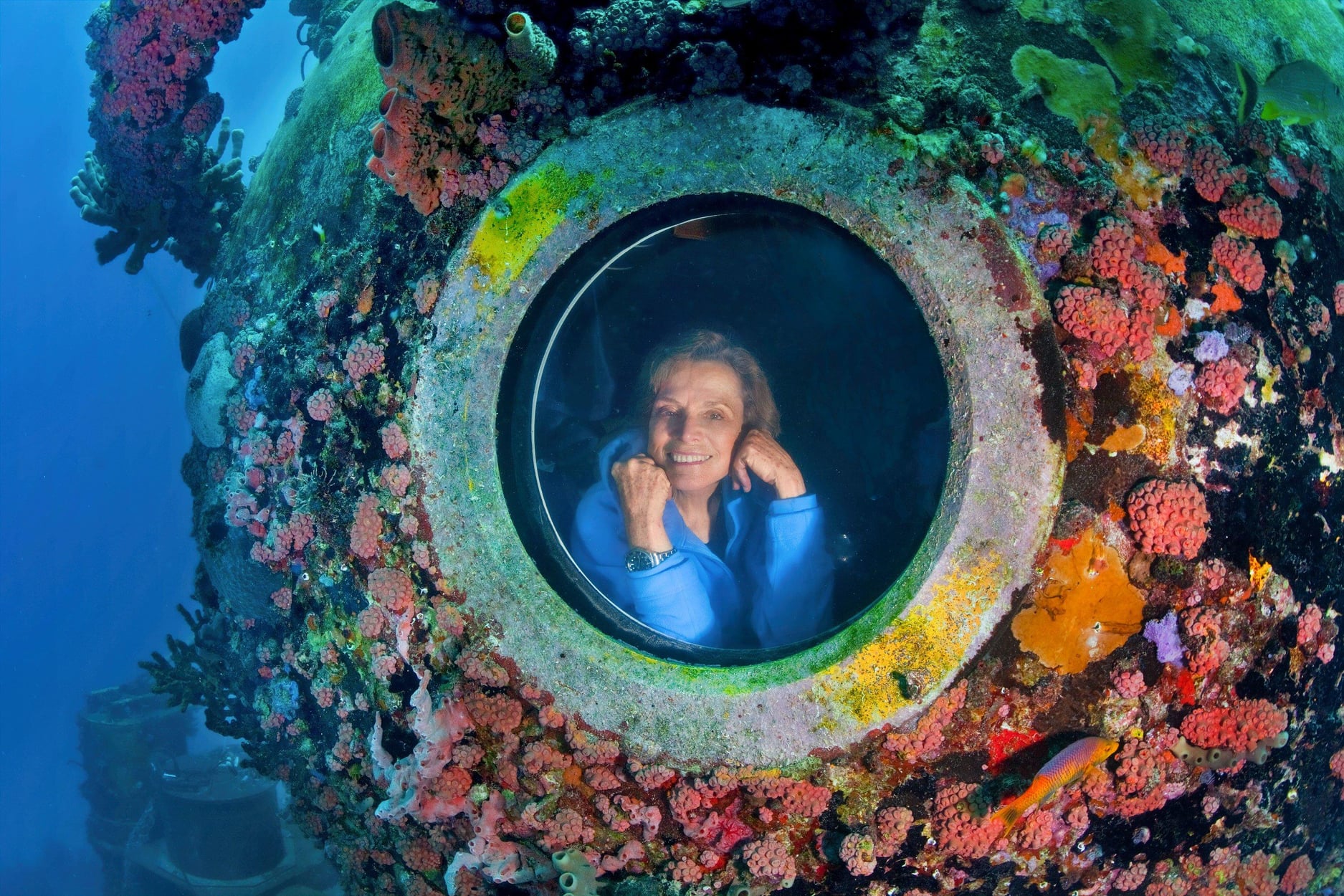 Sylvia Earle, Speaking Fee, Booking Agent, & Contact Info